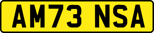 AM73NSA