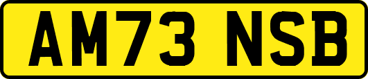 AM73NSB