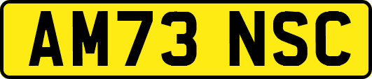 AM73NSC