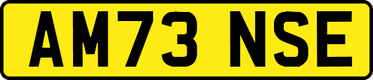 AM73NSE