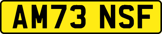 AM73NSF