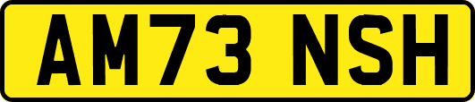 AM73NSH