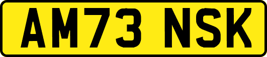 AM73NSK