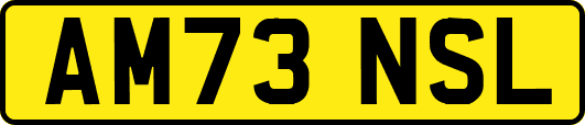 AM73NSL