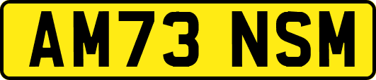 AM73NSM