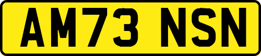 AM73NSN