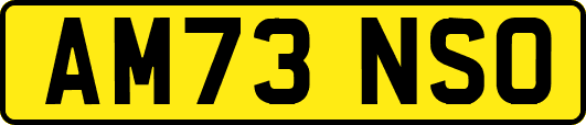 AM73NSO