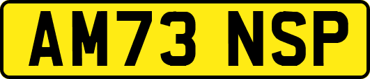 AM73NSP