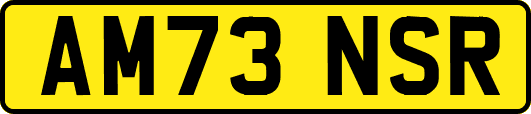 AM73NSR