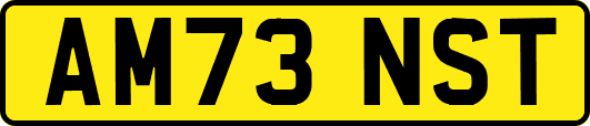 AM73NST