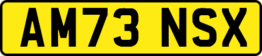AM73NSX