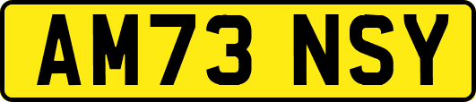 AM73NSY