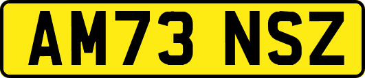 AM73NSZ