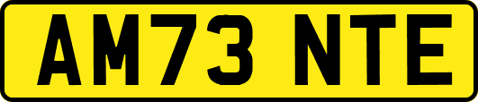 AM73NTE