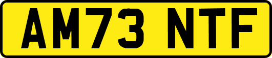 AM73NTF