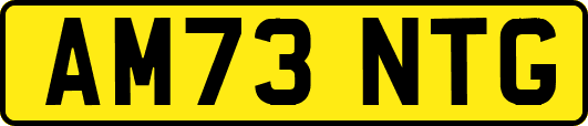 AM73NTG