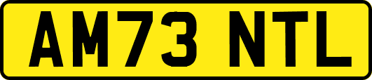 AM73NTL