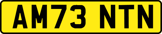 AM73NTN