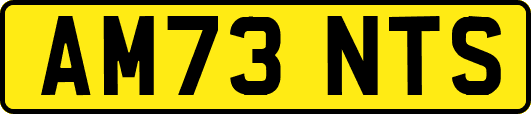AM73NTS