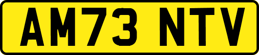 AM73NTV