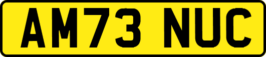 AM73NUC