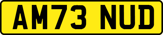 AM73NUD