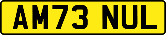 AM73NUL