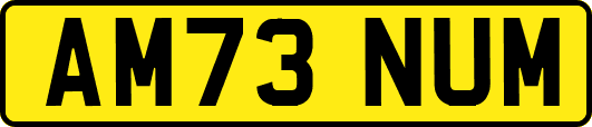 AM73NUM