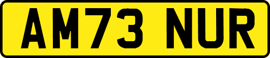 AM73NUR