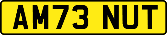 AM73NUT