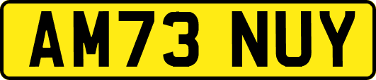 AM73NUY