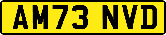 AM73NVD