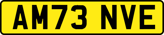 AM73NVE