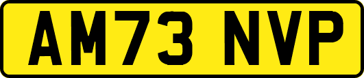 AM73NVP