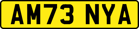 AM73NYA