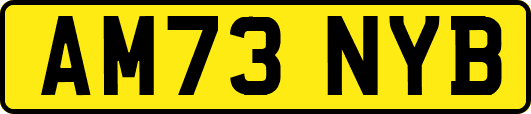 AM73NYB
