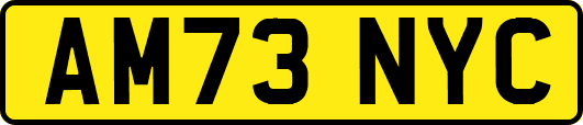 AM73NYC