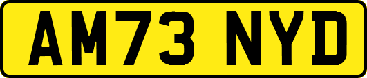 AM73NYD