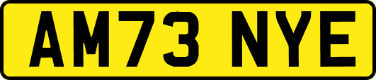 AM73NYE