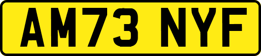 AM73NYF