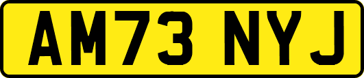 AM73NYJ