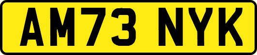 AM73NYK