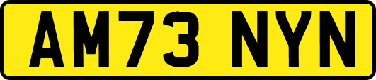 AM73NYN