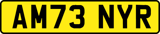AM73NYR
