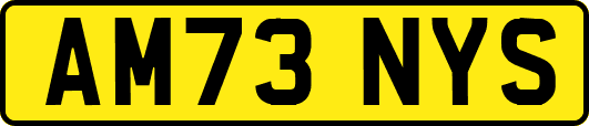 AM73NYS