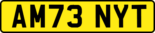 AM73NYT