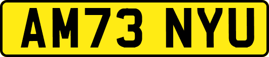 AM73NYU
