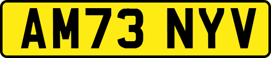 AM73NYV