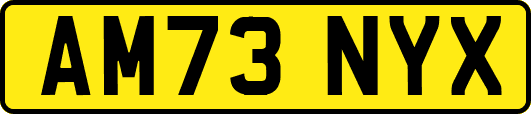 AM73NYX