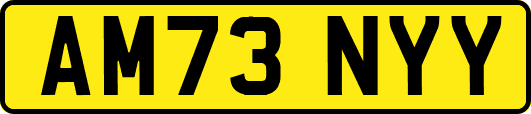 AM73NYY